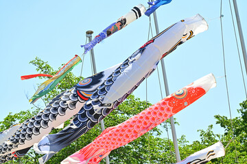 風になびくこいのぼり