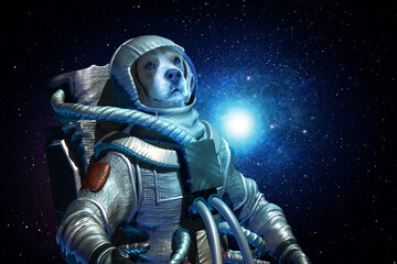 Fototapeta premium Dog astronaut wearing special suit in space