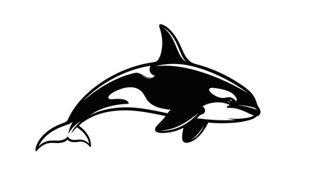 Stylized Black and White Orca Whale Vector Illustration Isolated