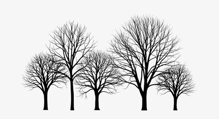 Bare Deciduous Tree Silhouettes Vector Set - Winter Forest Elements