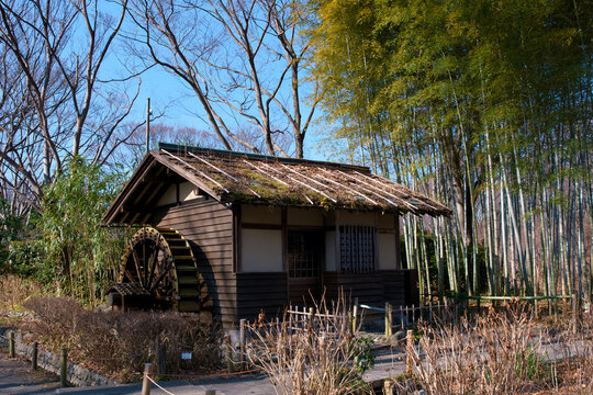 水車小屋と日本庭園」の写真素材 | 479件の無料イラスト画像 | Adobe Stock