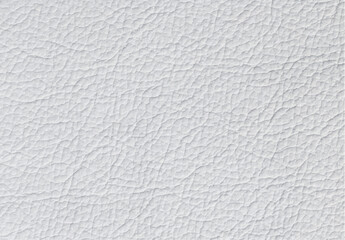 White paper texture background