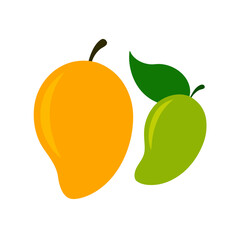 A green and a ripe mango on white background