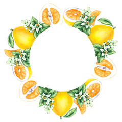 Pomelo citrus fruit watercolor hand painted. Pomelo wreath of flowers and citrus for wedding, holiday decor and food packaging. Citrus fruit on white background