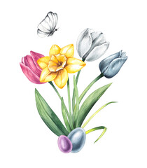 Watercolor spring Easter blooming flower bouquet. Hand-painted illustration of daffodil and tulip. Botanical bouquet for wedding invitations, festivals, or postcards.