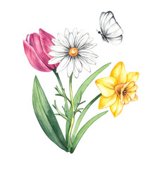 Watercolor spring Easter blooming flower bouquet. Hand-painted illustration of daffodil and tulip. Botanical bouquet for wedding invitations, festivals, or postcards.