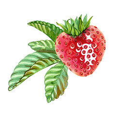 Red juicy strawberry on a green leaf. A juicy, ripe strawberry. A whole, red, aromatic berry with green leaves on top. Vegan, healthy, vitamin-rich. A diet dessert. Hand drawn watercolor illustration