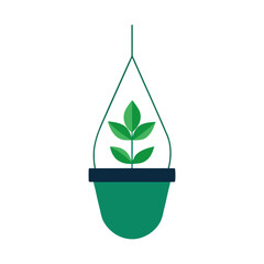 green plant in a hanging pot