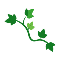 green leaf isolated on white