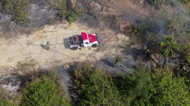 Uncontrolled vegetation fire tears through Florida forest in dry weather, with glowing embers and smoke billowing into the sky as firefighters begin suppression efforts.