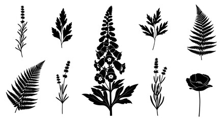 Botanical Silhouettes A Collection of Ferns Lavender and Foxglove.