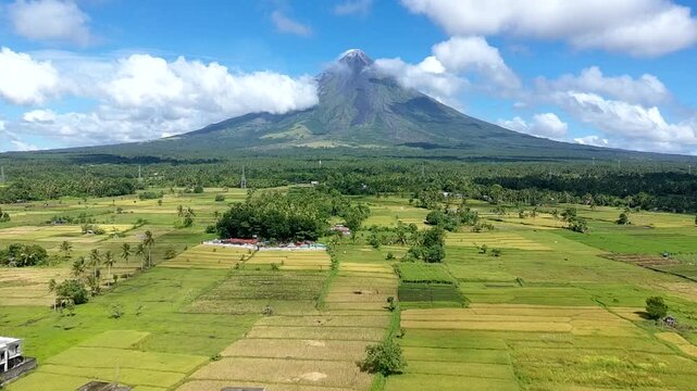 Mayon Volcano a beautiful view of lush and golden yellow rice fields beneath a clear blue sky in legazpi city albay philippines