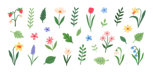 Set of spring and summer flowers, branches, and leaves