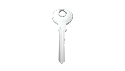 A single, shiny white key with a round head and a complex, grooved shank, on black