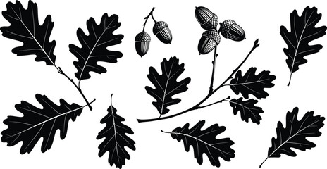 Oak Leaves and Acorns Vector Silhouette Collection: Autumn Botanical Elements for Nature, Decor, Vintage, and Woodland Design. © ROJUFA