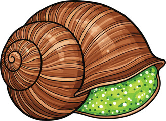 Colorful snail vector with spiral shell and speckled green body, perfect for nature, education, biology, and whimsical illustration themes. © Anowar