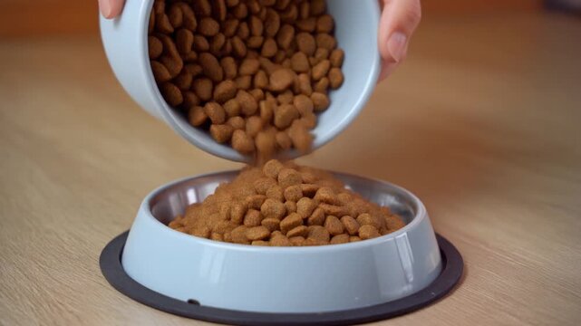 high angle shot of pouring cat food into empty bowl