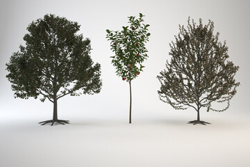 Displays three computerrendered fruit trees on a plain white background.