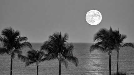 Bright full moon illuminates dark palm trees above a vast ocean horizon