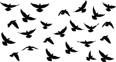 Flying birds silhouette collection, flock of birds in motion, black vector illustration isolated on white background for nature design