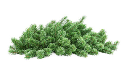 A pile of green pine branches on a white background.