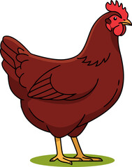 Rhode Island Red Chicken Hen Standing - Animal Character Illustration Isolated on Transparent Background