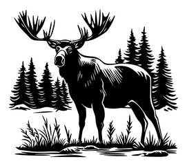 Majestic moose with large antlers standing in pine forest landscape