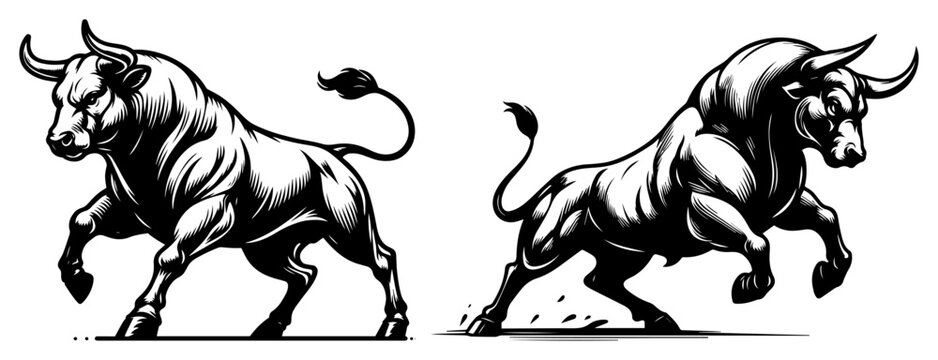 Two powerful angry bulls charging in black and white woodcut style