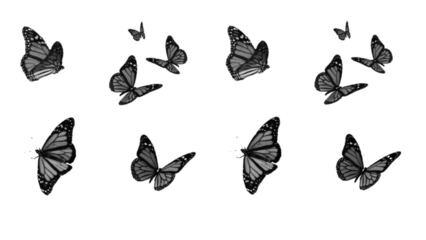 A collection of grayscale monarch butterflies in various flight poses