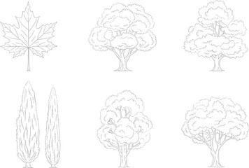 Set of line art sketches featuring a maple leaf, broadleaf trees, and cypress conifers, isolated on white background for ecology design