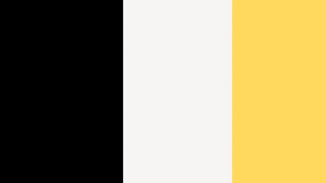 transition simple elegant motion graphic 4K for editing video premier pro or after effect	