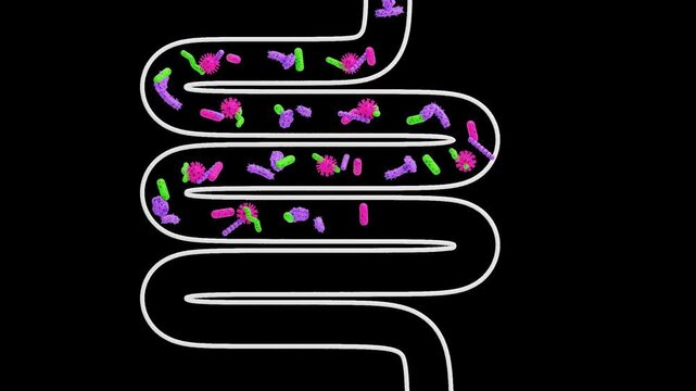 3D Intestines and probiotics | Alpha Channel