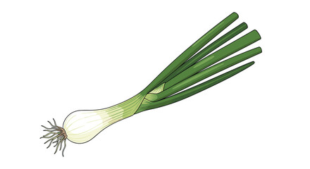 A single fresh spring onion with green stalks, a white bulb, and roots, depicted in a detailed, colorful cartoon illustration.