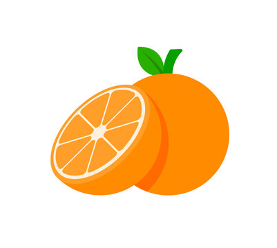 vector illustration of orange slice