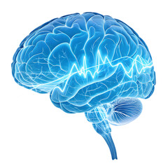Digital Brain Activity on transparent background