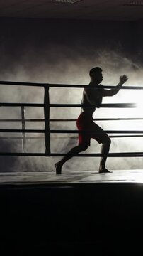 Silhouette Of Kickboxer Training On Ring In Smoke Light Focused Fighter Practicing High Kick Symbol Of Strength Concentration And Inner Power Athletic Man Performing Martial Arts Move In Gym