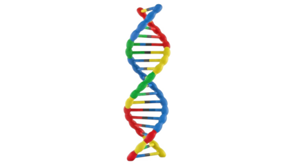 Colorful dna double helix structure isolated on transparent background
