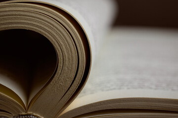 Curled paper edges show texture and detail