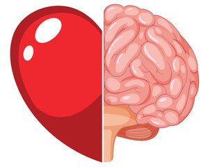 Half Heart Half Brain Vector Illustration Concept