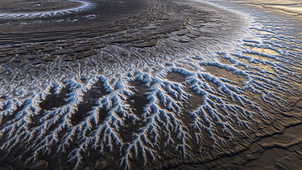 Abstract Desert Cracks