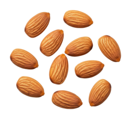 Almonds harvest event farm food natural isolated on transparent background