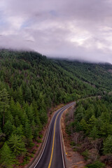 Winding Mountain Road Through Dense Evergreen Forest in BC, Canada Landscape With Misty Clouds