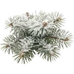 A snow-covered pine tree branch with snowflakes on it.
