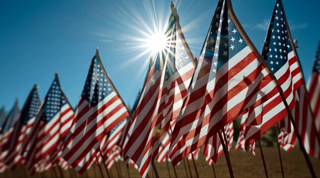 A long row of small American flags waving under a bright sun with a clear blue sky, symbolizing patriotism and remembrance.