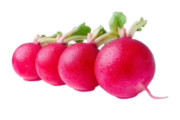 bunch of radish