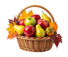 Harvest celebration fresh fruits basket in autumn colors isolated on transparent background