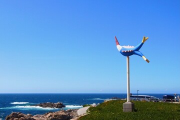 大西洋 © goatsucker2