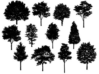 Fototapeta premium Architectural Tree Silhouette Collection