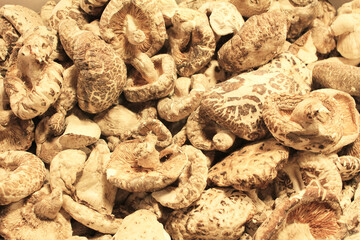 Close up dried Shiitake mushrooms