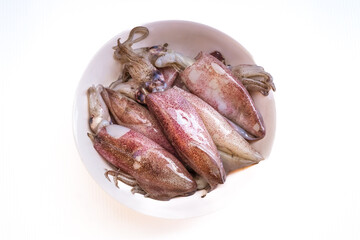Fresh squids on white plate, raw natural seafood isolated on white background. Image on top view.